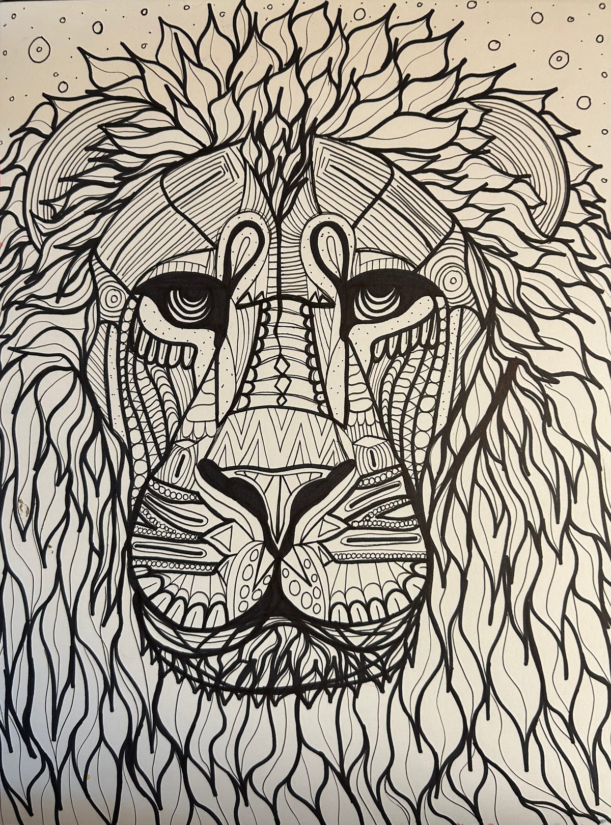 Lion Drawing