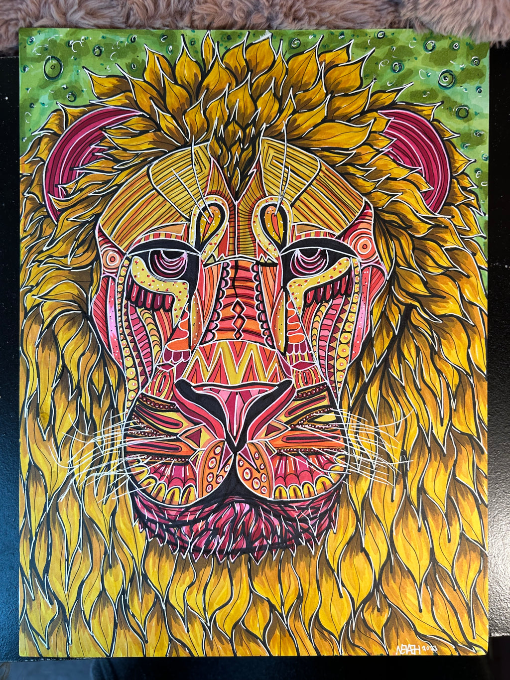Lion Drawing