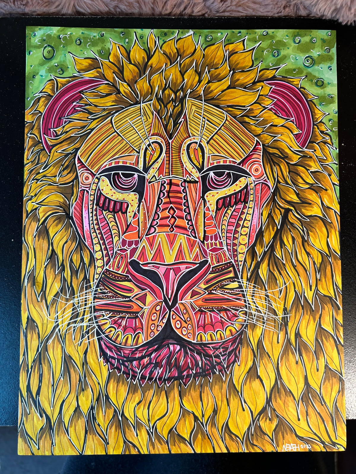Lion Drawing