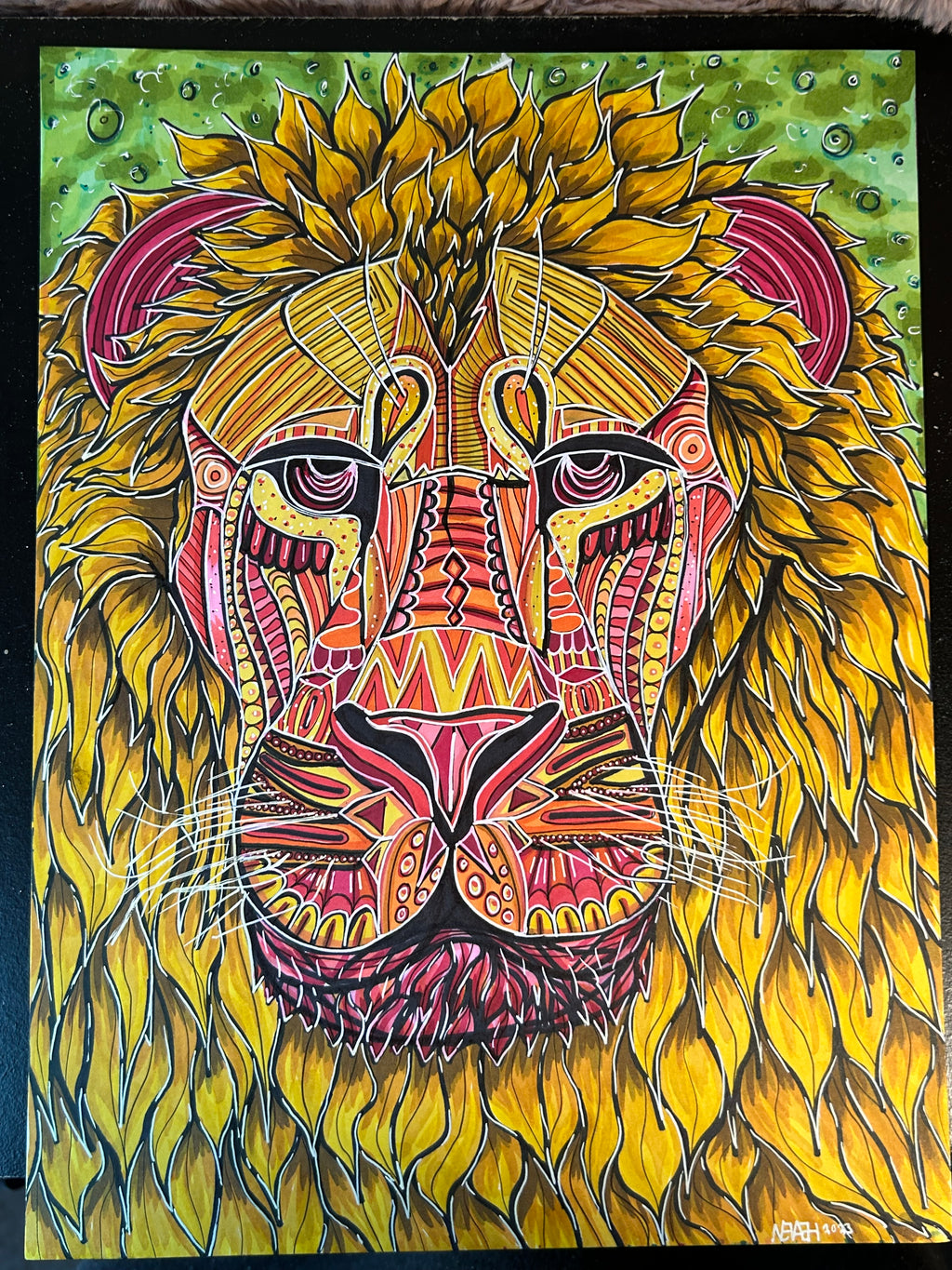 Lion Drawing