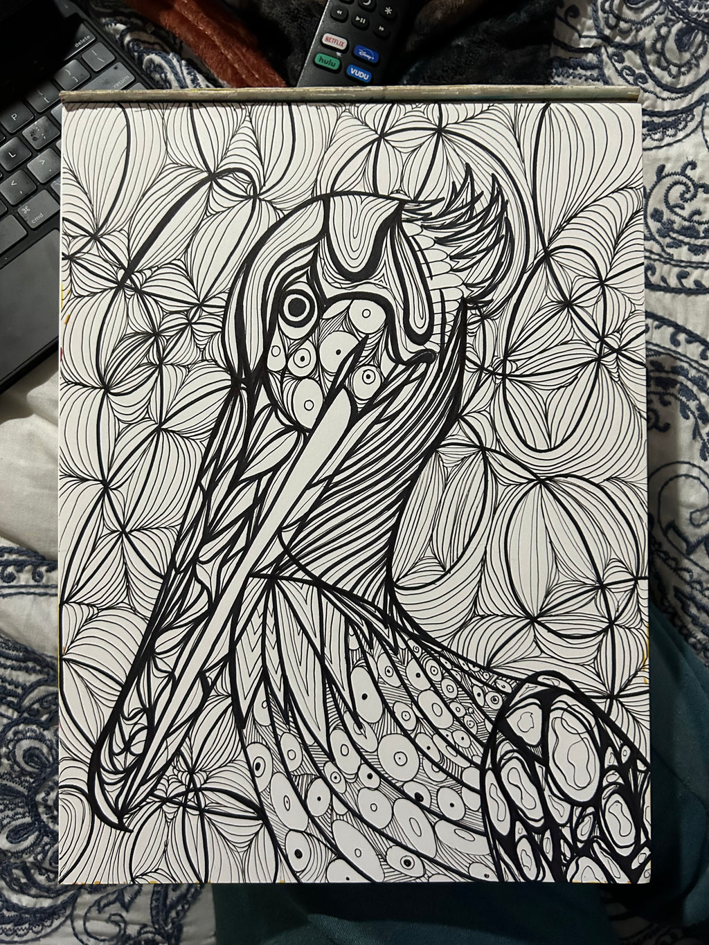 Pelican Drawing