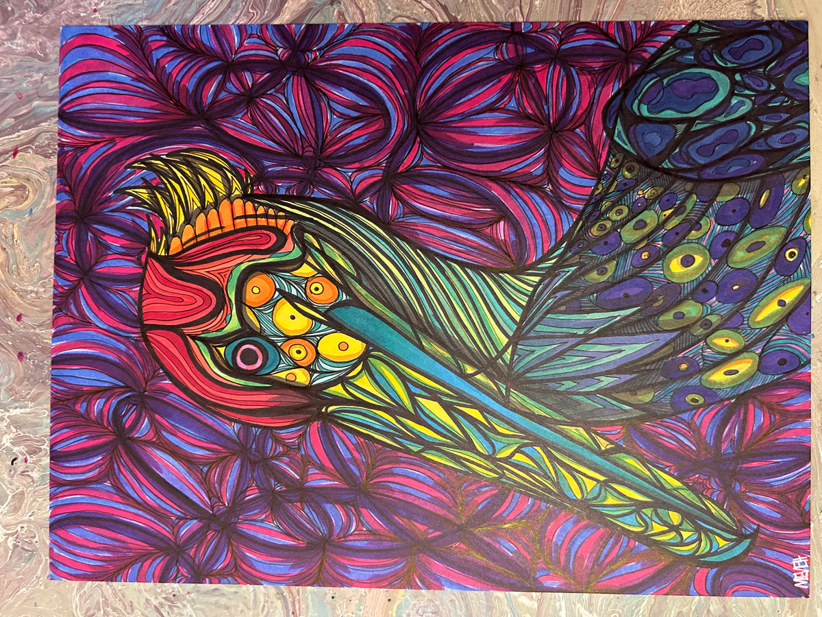 Pelican Drawing