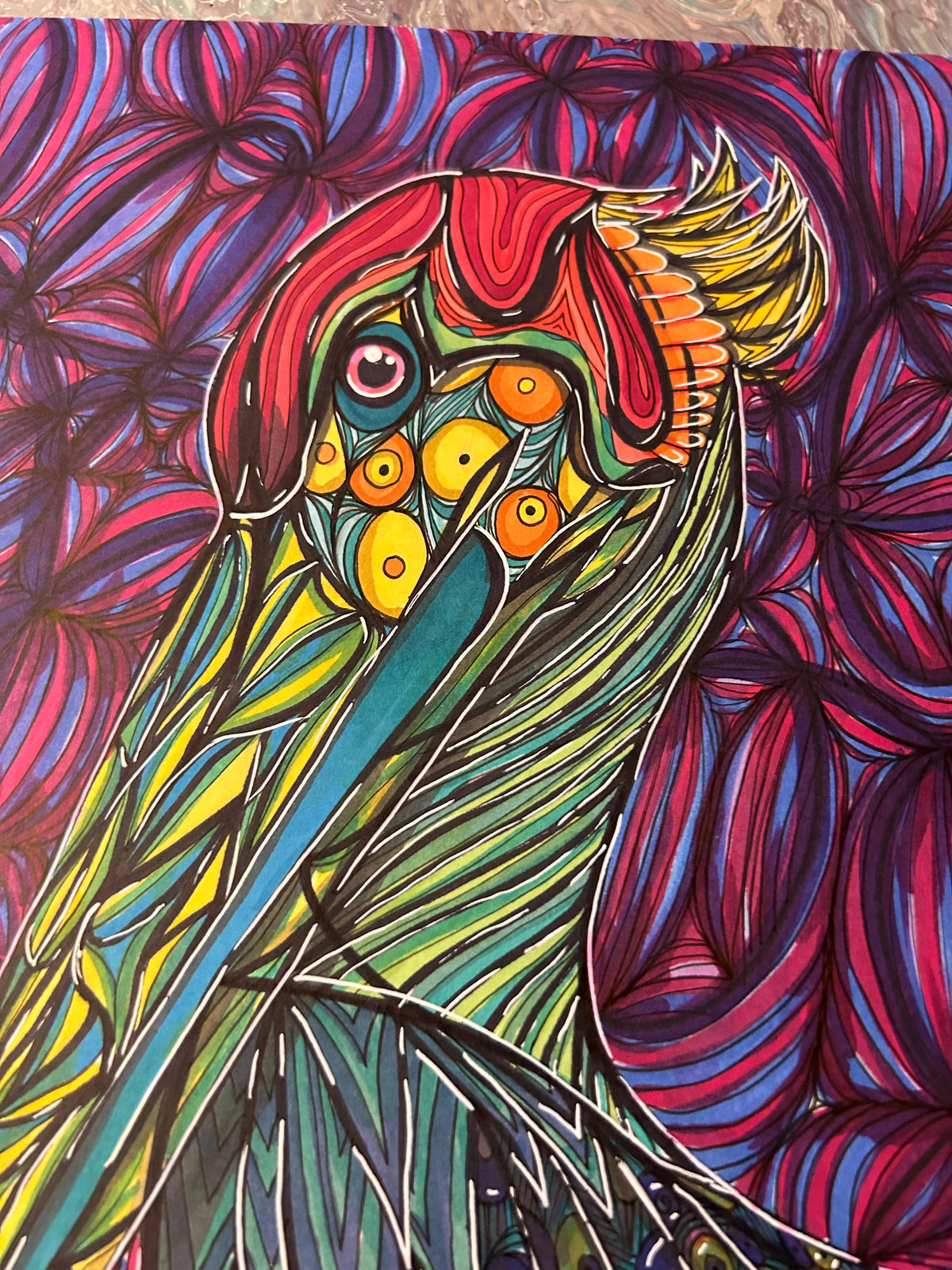 Pelican Drawing