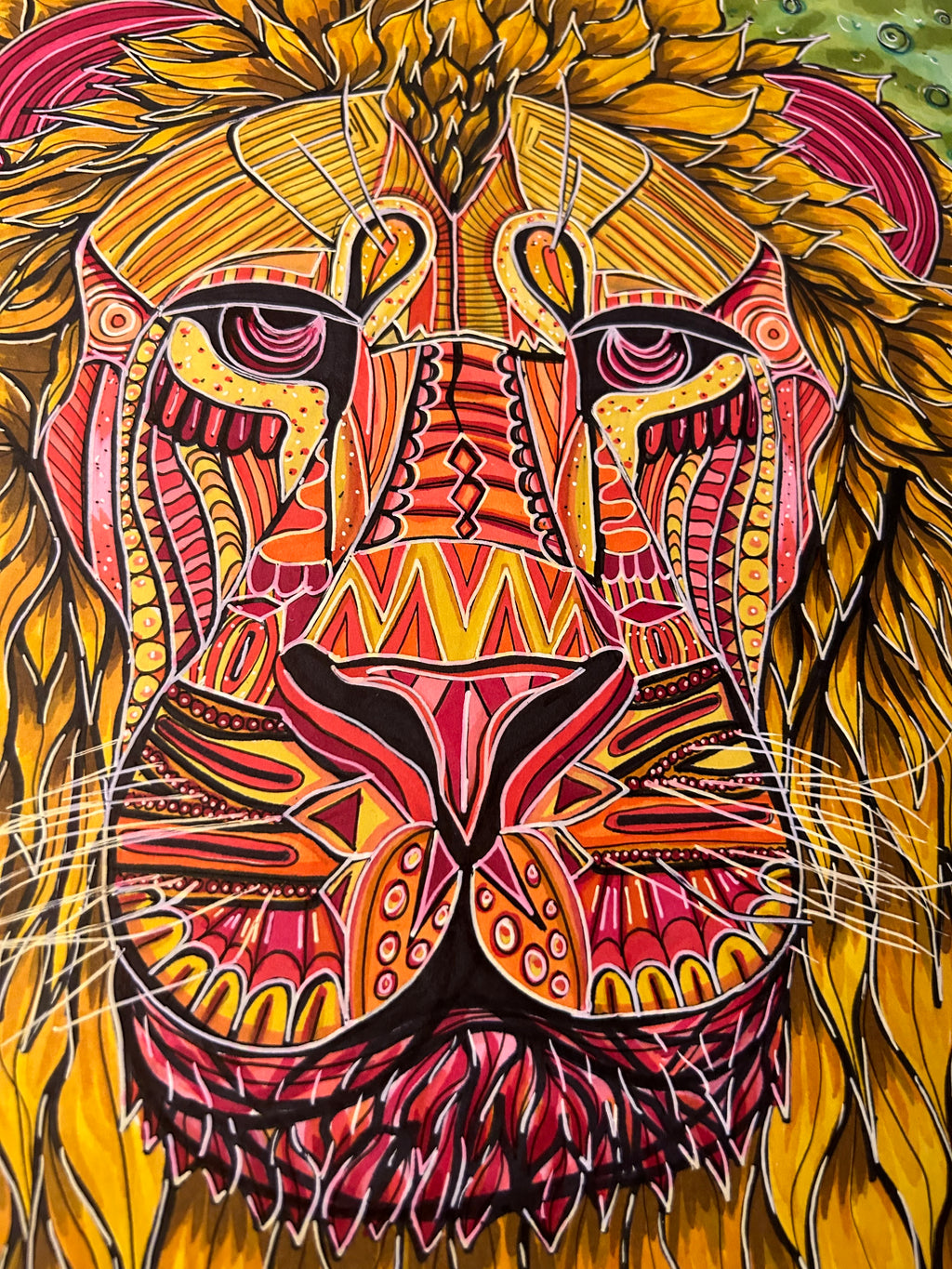Lion Drawing