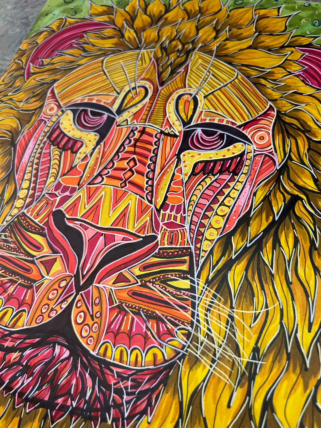 Lion Drawing