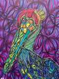 Pelican Drawing
